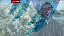 مکڑي کا اعزاز گھونگے کو مل گيا bbc urdu news