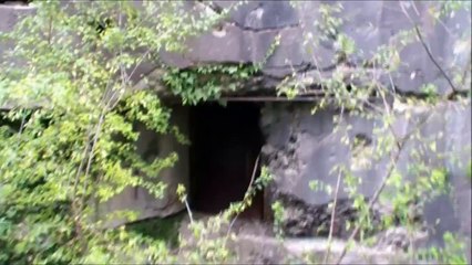 Bunker WW2, Maginot Linie, Elsass