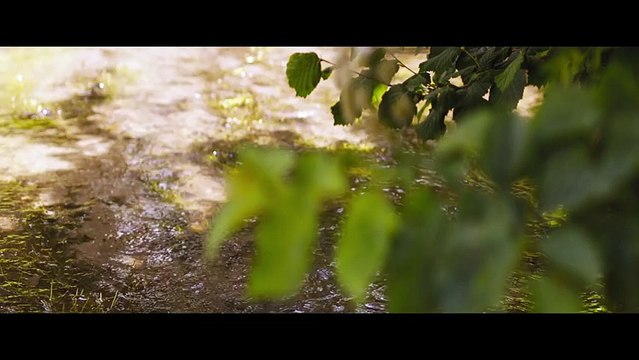 Bande annonce Loin de la foule déchainée