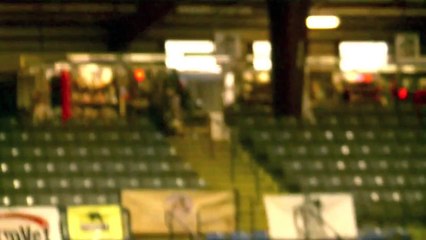 Sport Horse Nationals 2013~ Counting Stars