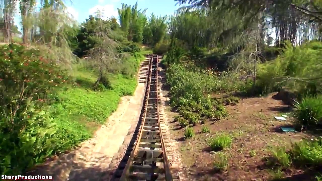 Expedition Everest (On-Ride) Disney World's Animal Kingdom