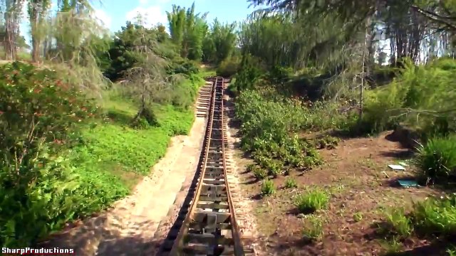 Expedition Everest (On-Ride) Disney World's Animal Kingdom