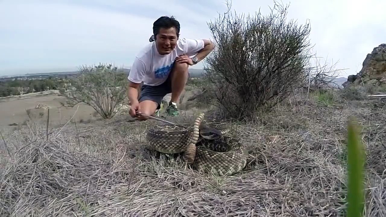 snak