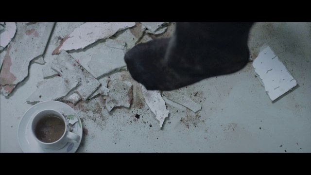 Fest Track On Sirk TV: OFFICE [Cannes Film Festival 2015]