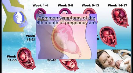8th Month Pregnant - Week (29 - 32) Pregnancy