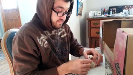 John(johnnyksspeedshop) Feeding baby Pigeon *Flying Tigers Loft*