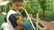 Educando nossas crianças - educação ambiental, aves silvestres autorizadas pelo IBAMA