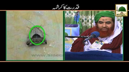 Qudrat Ka Karishma - Short Clip - Maulana Ilyas Qadri