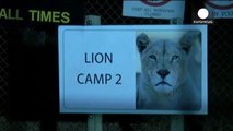 American tourist killed in lion attack at South Africa park -