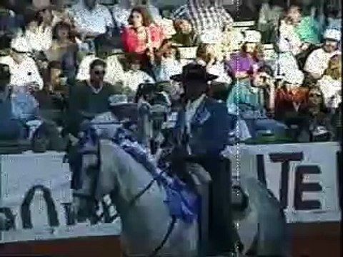 matadors 1 - bulls 0