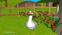Five Little Ducks went out one day - 3D Animation English Nursery rhymes for children