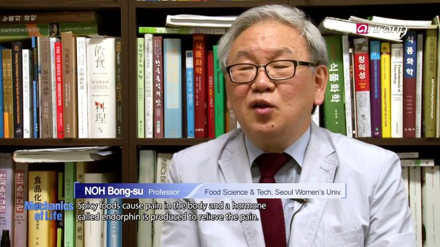 Spicy food maniac visiting a brainwave research lab