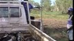 Hunting gurrumattji - magpie goose - in the Arafura Wetlands, north-central Arnhem Land