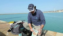 La pesca da riva: Pasture da mare Dynamite Baits per il cefalo