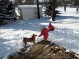 Sachi The Shiba Inu Dog, Natalie and Gwen Play in the Snow Winter 2012