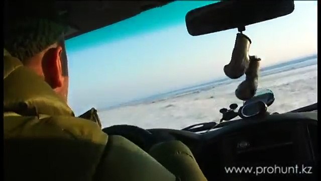 Wolf hunting in Kazakhstan / Охота на волка в Казахстане