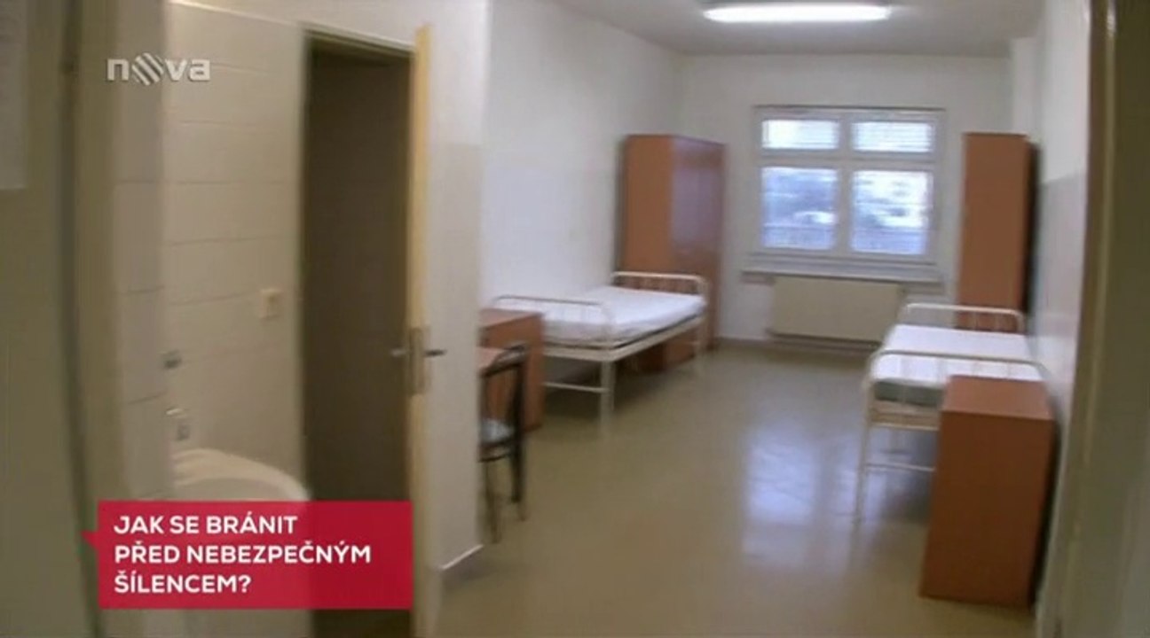 Reportáž