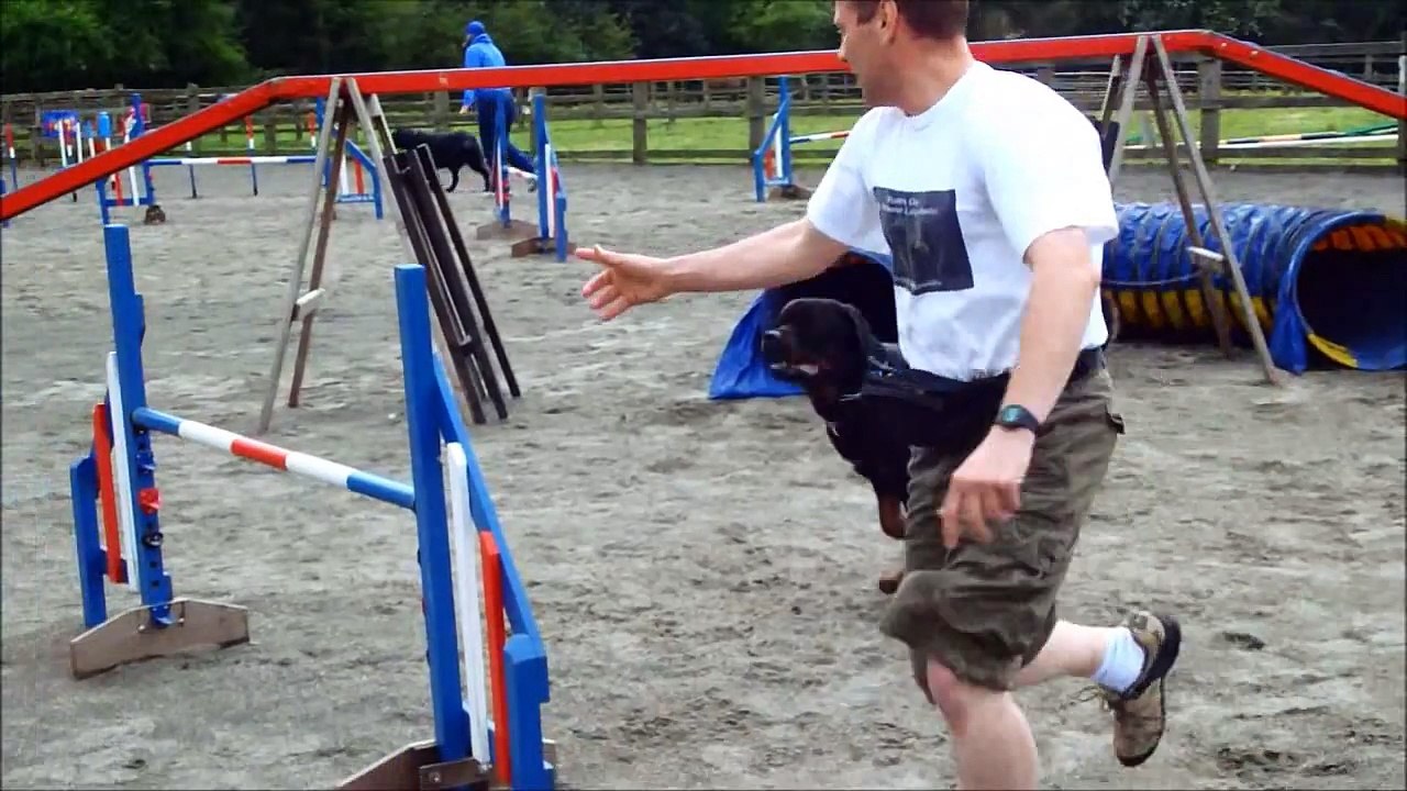 Tigger Poohbear Training Fun Agility
