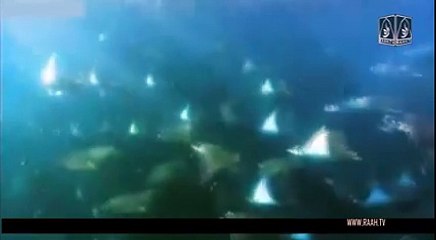 اسماء حسنا اللہ تعالیٰ کے 99 نام