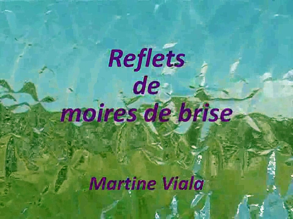 2006-Reflets de moires de brise