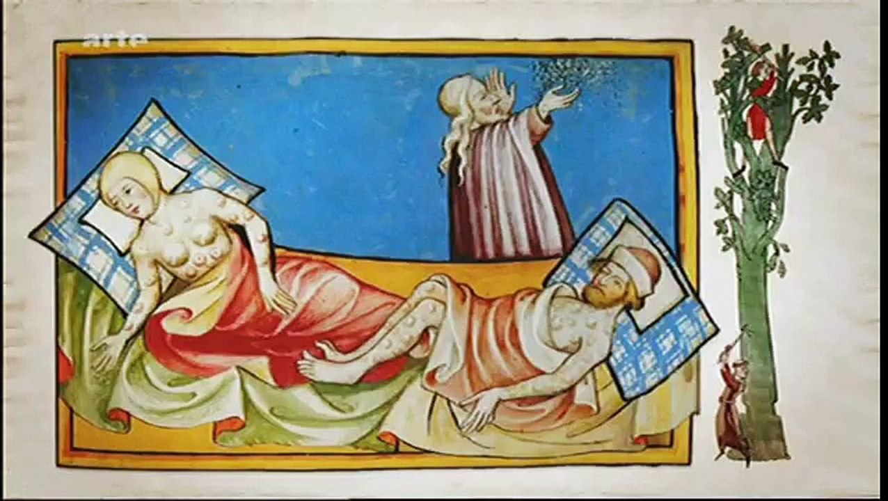 Mit offenen Karten - Geschichte der Wälder Frankreichs (1/2)