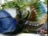 The Facial Snail Cream Fad on Texas CBS News