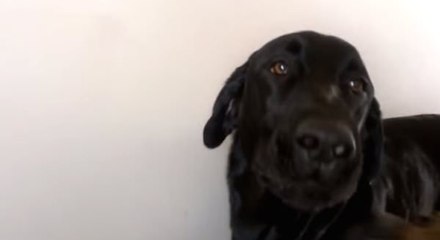 Il connait sa chanson