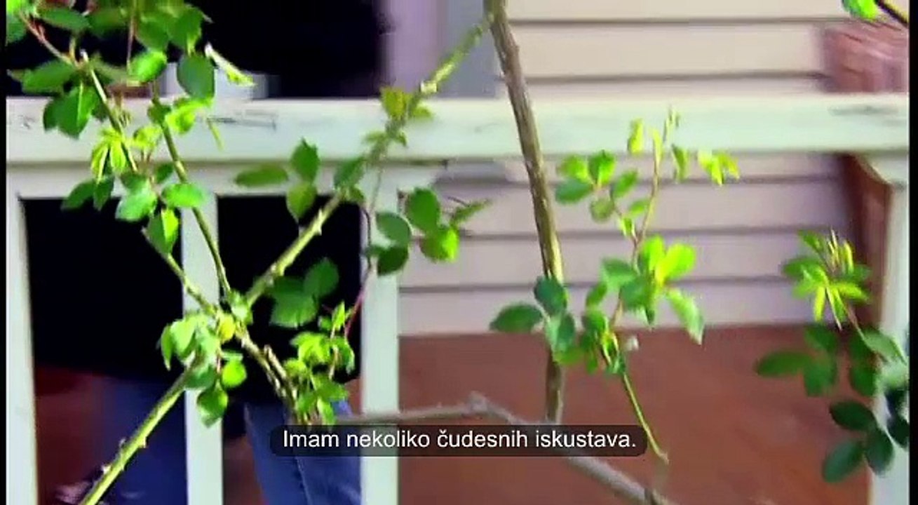 Film Tajna sa prevodom