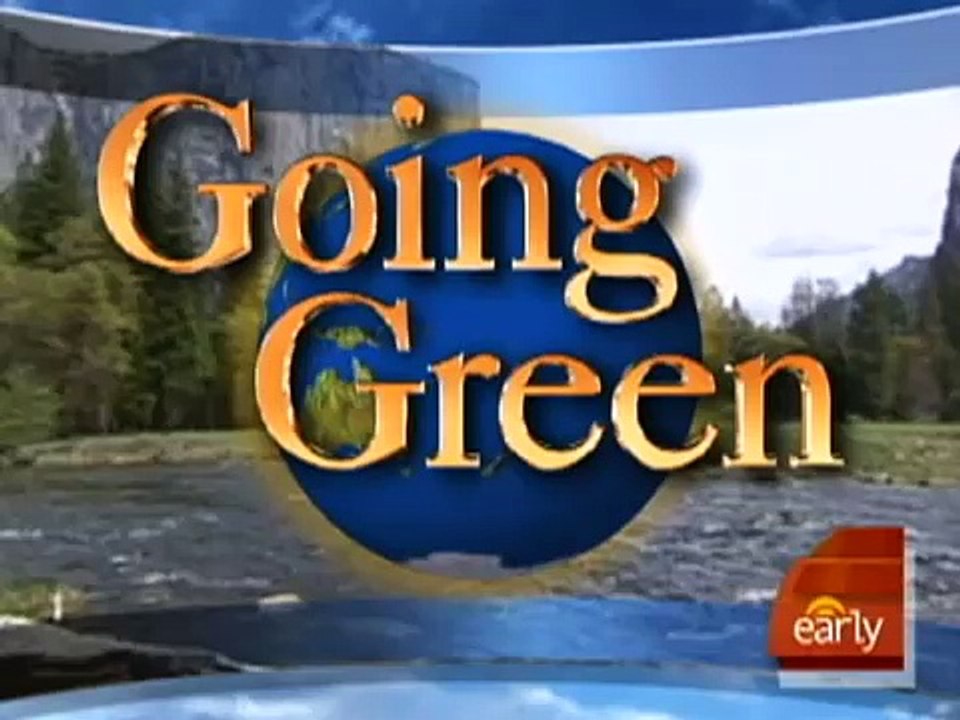 Staying Green At The Office