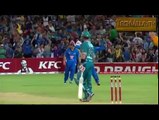 Incredible,awesome and funny catches behind the stumps