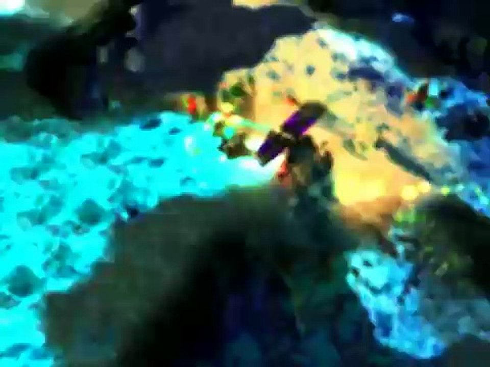 DotA Allstars Raigor Tribute