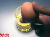 Sirke dolu bardağa koyulan yumurta bakın ne hale geliyor