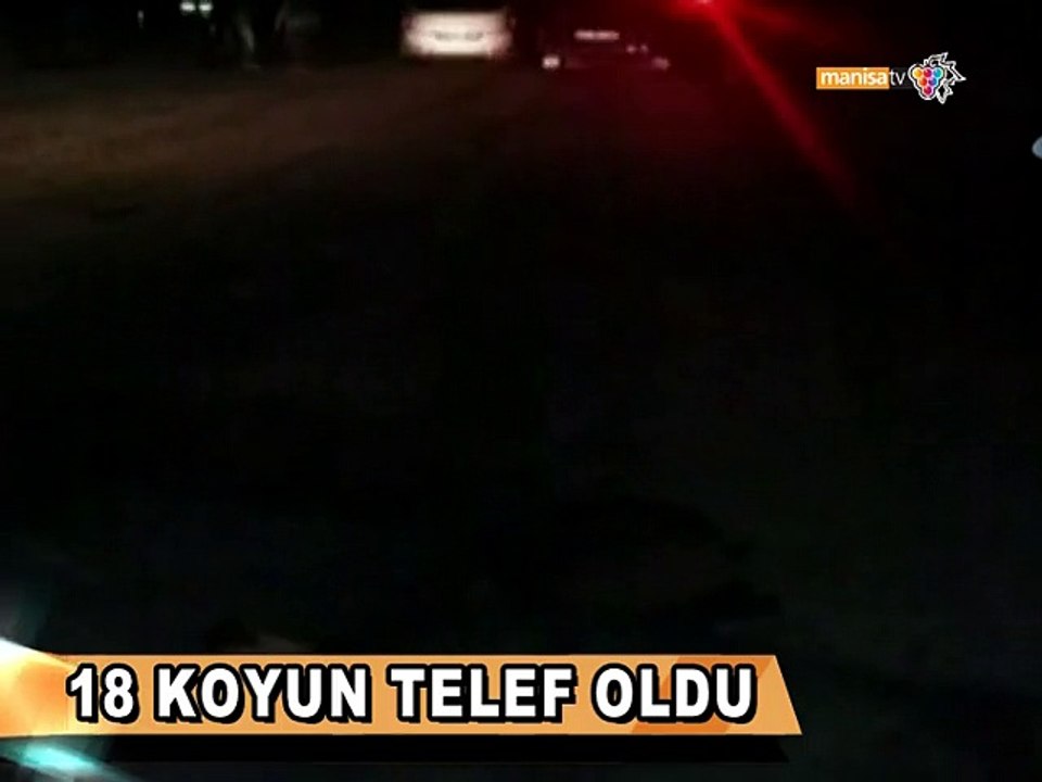 18 KOYUN TELEF OLDU