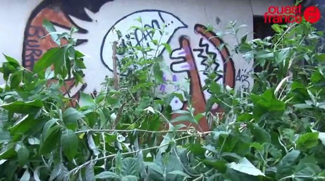 Rennes : la maison de Maryvonne totalement vandalisée par les squatteurs