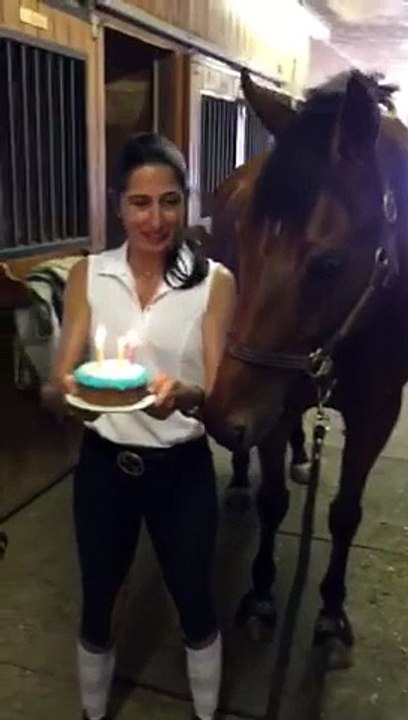 Un cheval heureux de fêter son anniversaire !