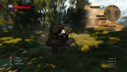 The Witcher 3 one of the wee ones believe it or not