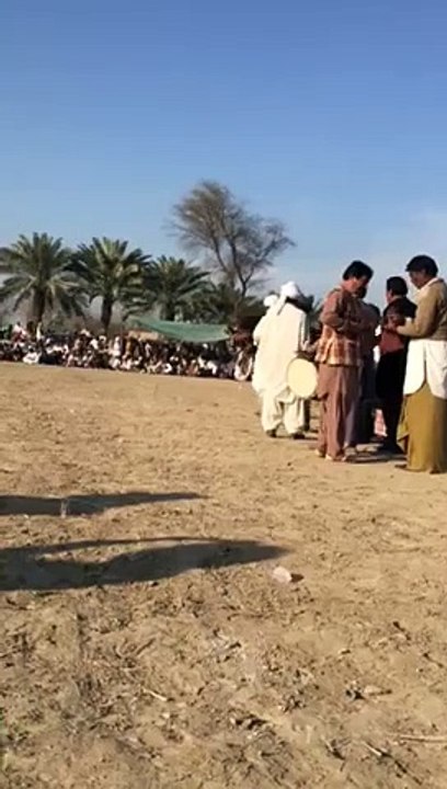 horse dance