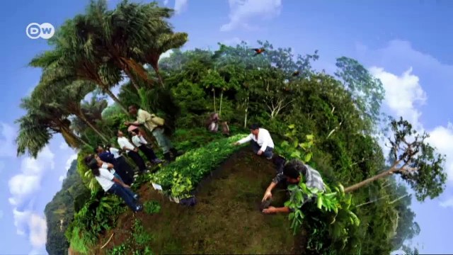 Vietnam: cría de camarones con certificado orgánico | Global 3000