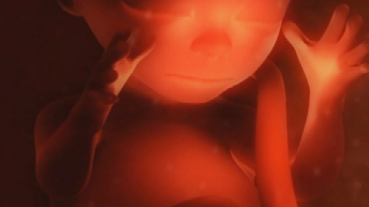 Cellules et renouvellement cellulaire