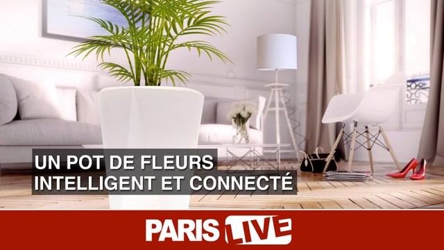 Un pot de fleurs intelligent et connecté