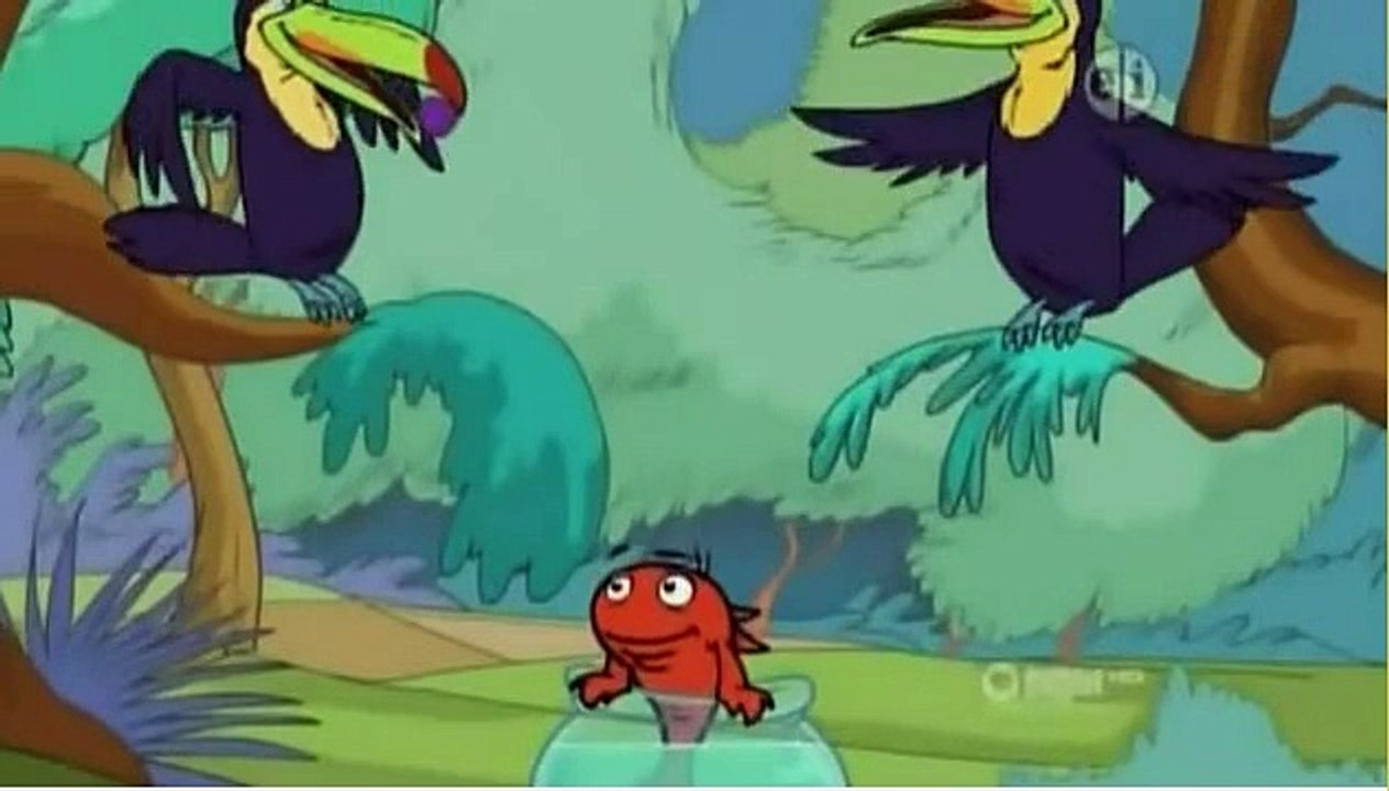 Fish Facts:Birds