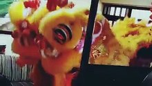 CNY 2015