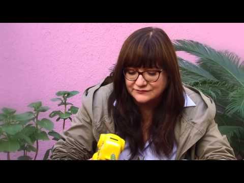 TV3 - Tria33 - Entrevista Isabel Coixet (versió llarga)