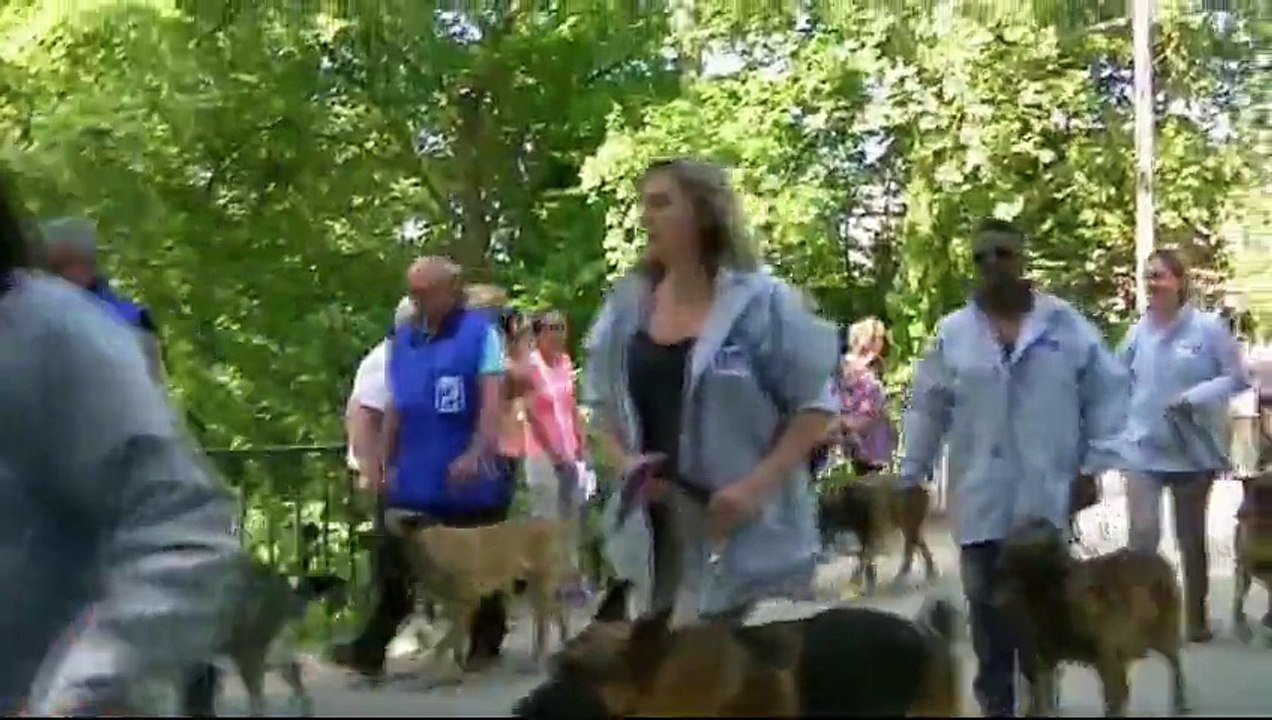 Mondioring, Finale Championnat de France, 2015