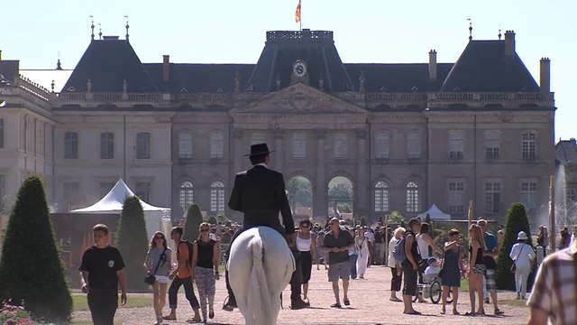 Rencontres équestres 2014 à Lunéville (Lorraine)