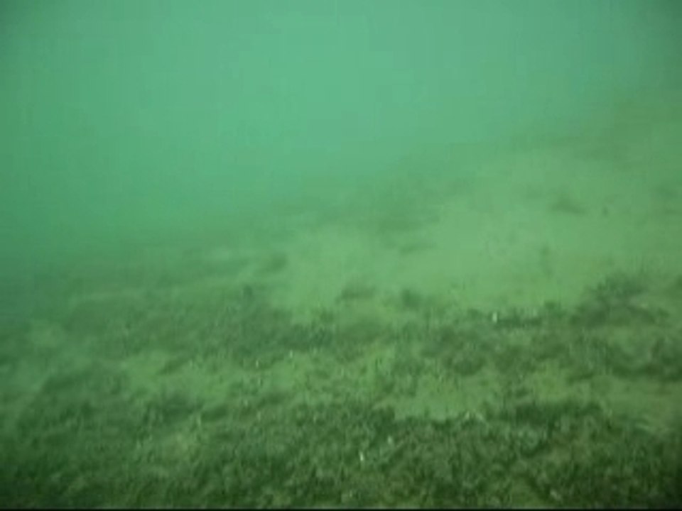 Hermance28mars_francisco