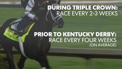 Why is it so hard to win the Triple Crown?