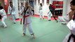 Martial arts  School in Toronto for adults - Toronto Hapkido Academy