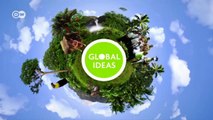 Bio-Garnelen dank Mangrovenschutz | Global 3000