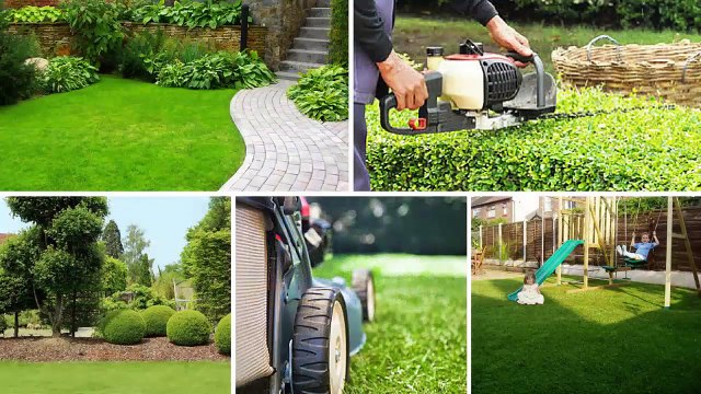 Degree Lawn: The Experts In Lawn Care In Ohio